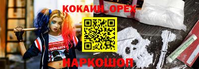 гашик Пенза