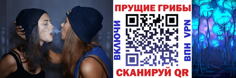 Псилоцибиновые грибы GOLDEN TEACHER  Чебоксары 